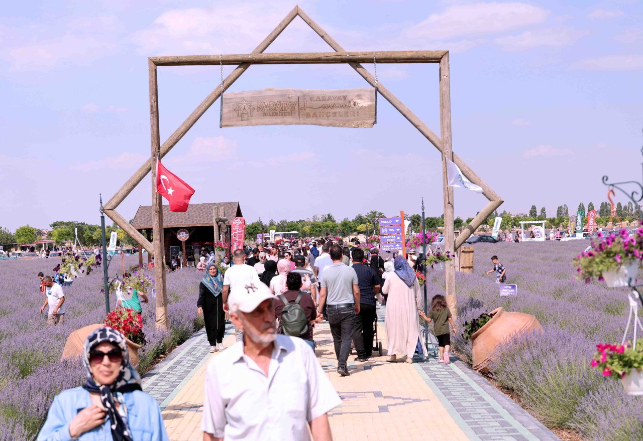 Türkiye'nin en büyük Lavanta bahçesi doldu taştı